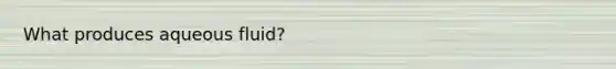 What produces aqueous fluid?