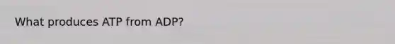 What produces ATP from ADP?