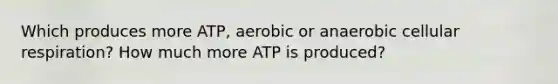 Which produces more ATP, aerobic or anaerobic cellular respiration? How much more ATP is produced?