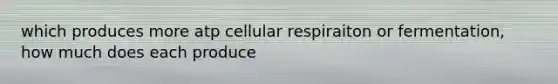 which produces more atp cellular respiraiton or fermentation, how much does each produce