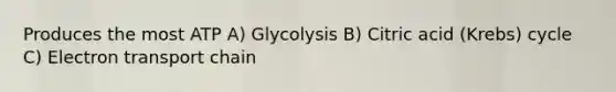 Produces the most ATP A) Glycolysis B) Citric acid (Krebs) cycle C) Electron transport chain