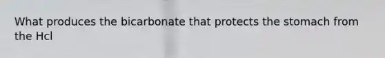 What produces the bicarbonate that protects the stomach from the Hcl