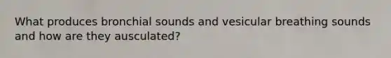 What produces bronchial sounds and vesicular breathing sounds and how are they ausculated?