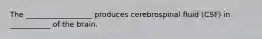 The __________________ produces cerebrospinal fluid (CSF) in ___________ of the brain.