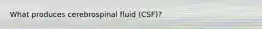 What produces cerebrospinal fluid (CSF)?