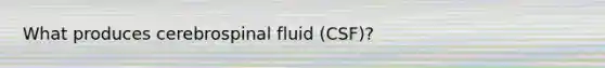 What produces cerebrospinal fluid (CSF)?