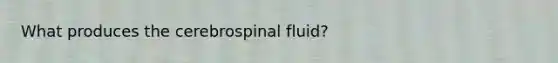 What produces the cerebrospinal fluid?