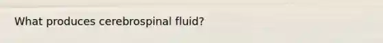 What produces cerebrospinal fluid?