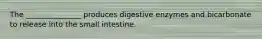 The _______________ produces digestive enzymes and bicarbonate to release into the small intestine.