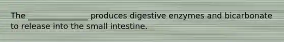 The _______________ produces digestive enzymes and bicarbonate to release into the small intestine.