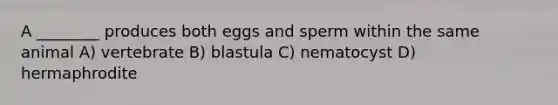 A ________ produces both eggs and sperm within the same animal A) vertebrate B) blastula C) nematocyst D) hermaphrodite