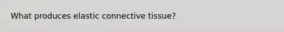 What produces elastic connective tissue?