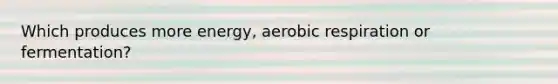 Which produces more energy, aerobic respiration or fermentation?