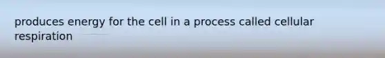 produces energy for the cell in a process called <a href='https://www.questionai.com/knowledge/k1IqNYBAJw-cellular-respiration' class='anchor-knowledge'>cellular respiration</a>