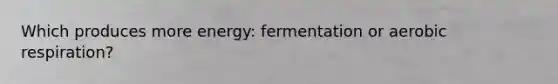 Which produces more energy: fermentation or aerobic respiration?