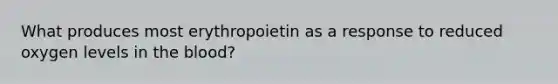 What produces most erythropoietin as a response to reduced oxygen levels in the blood?