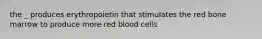 the _ produces erythropoietin that stimulates the red bone marrow to produce more red blood cells