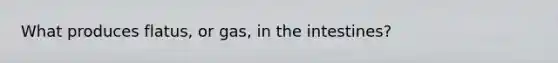 What produces flatus, or gas, in the intestines?