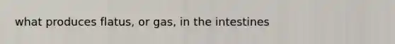 what produces flatus, or gas, in the intestines