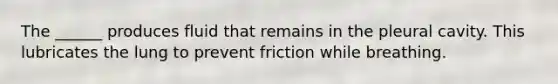 The ______ produces fluid that remains in the pleural cavity. This lubricates the lung to prevent friction while breathing.
