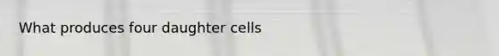 What produces four daughter cells