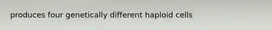produces four genetically different haploid cells