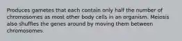 Produces gametes that each contain only half the number of chromosomes as most other body cells in an organism. Meiosis also shuffles the genes around by moving them between chromosomes.