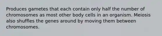 Produces gametes that each contain only half the number of chromosomes as most other body cells in an organism. Meiosis also shuffles the genes around by moving them between chromosomes.