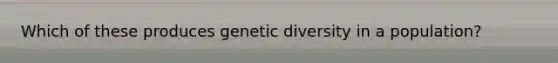 Which of these produces genetic diversity in a population?