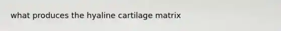 what produces the hyaline cartilage matrix