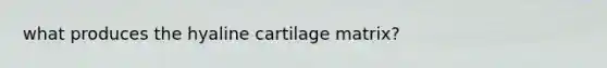 what produces the hyaline cartilage matrix?