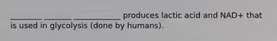 ________ _______ ____________ produces lactic acid and NAD+ that is used in glycolysis (done by humans).