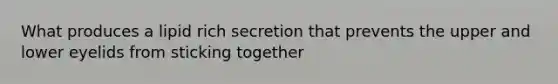 What produces a lipid rich secretion that prevents the upper and lower eyelids from sticking together