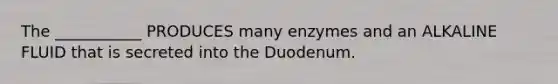 The ___________ PRODUCES many enzymes and an ALKALINE FLUID that is secreted into the Duodenum.