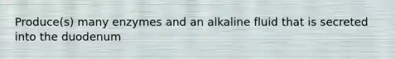 Produce(s) many enzymes and an alkaline fluid that is secreted into the duodenum