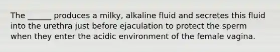 The ______ produces a milky, alkaline fluid and secretes this fluid into the urethra just before ejaculation to protect the sperm when they enter the acidic environment of the female vagina.