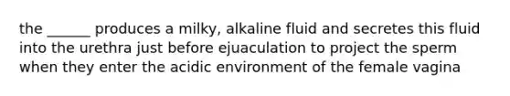 the ______ produces a milky, alkaline fluid and secretes this fluid into the urethra just before ejuaculation to project the sperm when they enter the acidic environment of the female vagina