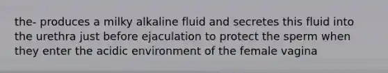 the- produces a milky alkaline fluid and secretes this fluid into the urethra just before ejaculation to protect the sperm when they enter the acidic environment of the female vagina