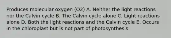 Produces molecular oxygen (O2) A. Neither the light reactions nor the Calvin cycle B. The Calvin cycle alone C. Light reactions alone D. Both the light reactions and the Calvin cycle E. Occurs in the chloroplast but is not part of photosynthesis