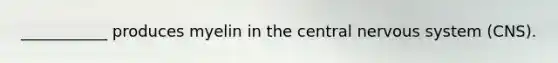 ___________ produces myelin in the central nervous system (CNS).
