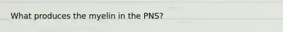 What produces the myelin in the PNS?