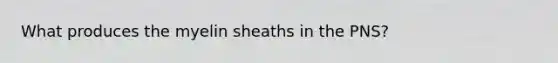 What produces the myelin sheaths in the PNS?