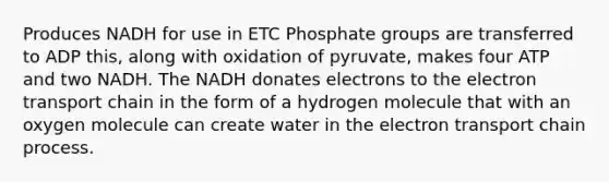 Produces NADH for use in ETC Phosphate groups are transferred to ADP this, along with oxidation of pyruvate, makes four ATP and two NADH. The NADH donates electrons to the electron transport chain in the form of a hydrogen molecule that with an oxygen molecule can create water in the electron transport chain process.