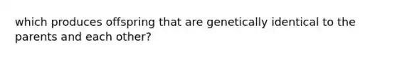 which produces offspring that are genetically identical to the parents and each other?