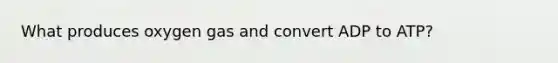 What produces oxygen gas and convert ADP to ATP?