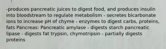 -produces pancreatic juices to digest food, and produces insulin into bloodstream to regulate metabolism - secretes bicarbonate ions to increase pH of chyme - enzymes to digest carbs, proteins, fats Pancreas: Pancreatic amylase - digests starch pancreatic lipase - digests fat trypsin, chymotripsin - partially digests proteins