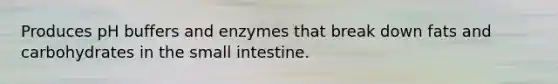 Produces pH buffers and enzymes that break down fats and carbohydrates in the small intestine.