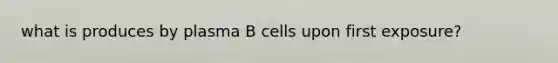 what is produces by plasma B cells upon first exposure?