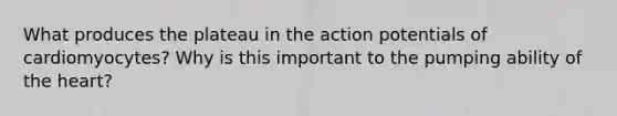 What produces the plateau in the action potentials of cardiomyocytes? Why is this important to the pumping ability of <a href='https://www.questionai.com/knowledge/kya8ocqc6o-the-heart' class='anchor-knowledge'>the heart</a>?