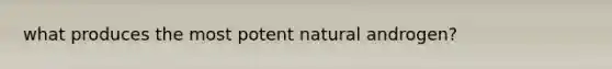 what produces the most potent natural androgen?